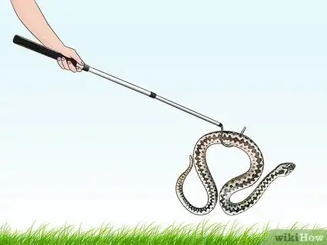 Imagen titulada Prevent Snake Bites Step 9