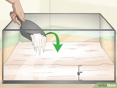 Imagen titulada Play With Your Hermit Crab Step 2