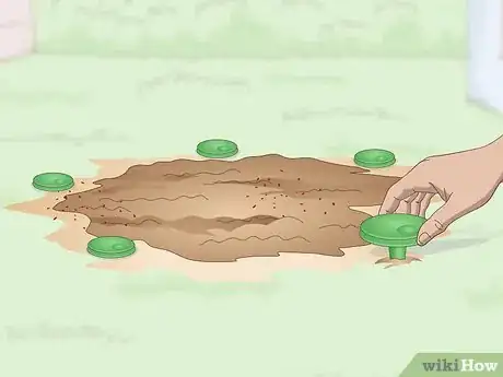 Imagen titulada Get Rid of an Ant Hill Step 13
