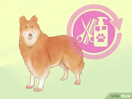 Imagen titulada Choose a Dog Step 10
