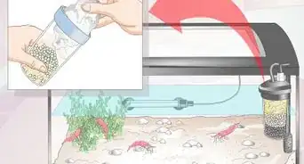 hacer un acuario para camarones
