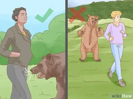 Imagen titulada Keep Bears Away Step 22