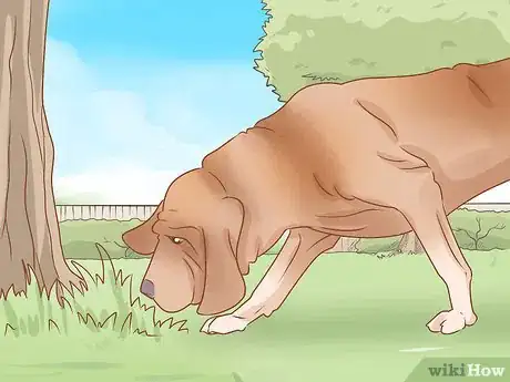 Imagen titulada Take Care of a Dog Step 17