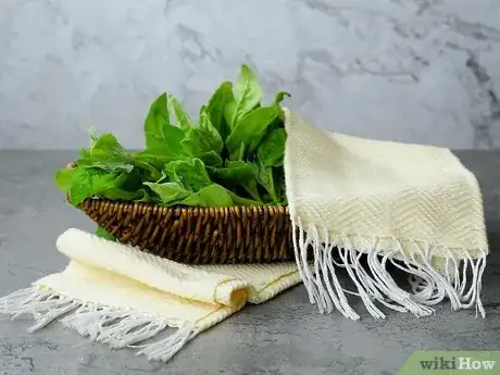 Imagen titulada Prepare Spinach Step 1