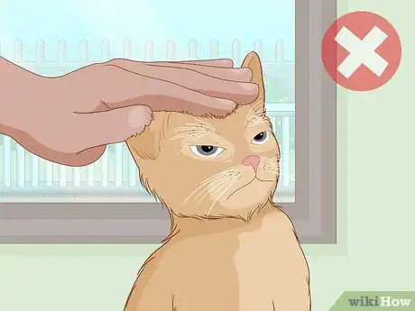 Imagen titulada Pet a Cat Step 13
