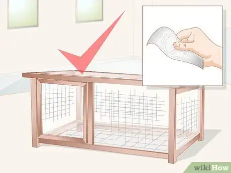 Imagen titulada Care for a Chick Step 1