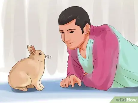 Imagen titulada Play With Your Rabbit Step 5