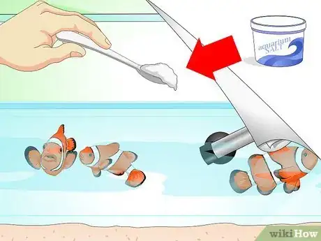 Imagen titulada Tell if Your Fish Is Sick Step 17