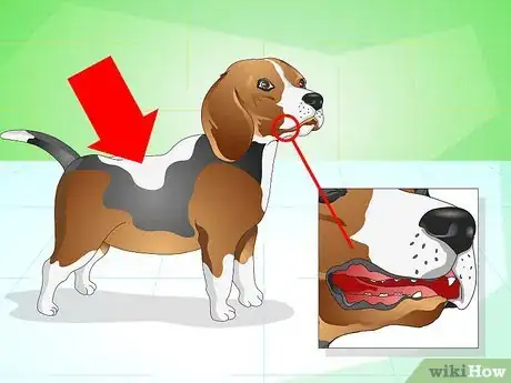 Imagen titulada Get Your Dog to Eat the Dog Food It Does Not Like Step 14