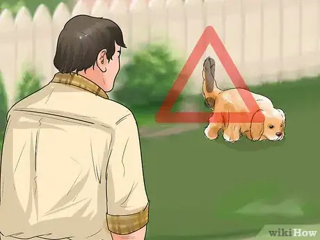 Imagen titulada Train Goldendoodles Step 8