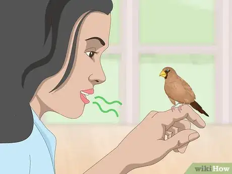 Imagen titulada Bond with Pet Finches Step 9