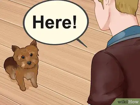 Imagen titulada Train a Yorkie Step 18