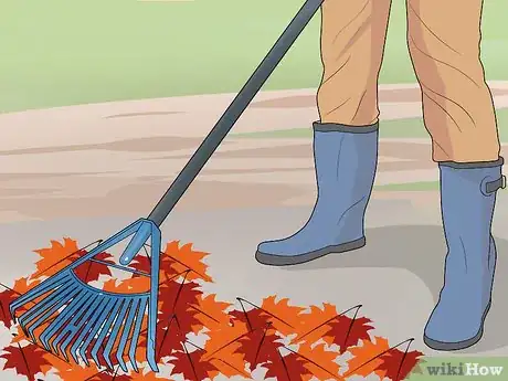 Imagen titulada Deal with Autumn Leaves Step 2