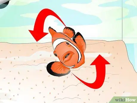 Imagen titulada Tell if Your Fish Is Sick Step 12