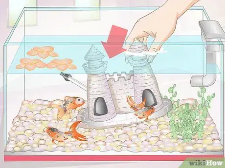 Imagen titulada Creatively Decorate a Freshwater Fish Tank Step 8
