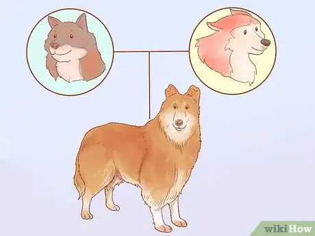 Imagen titulada Choose a Dog Step 19