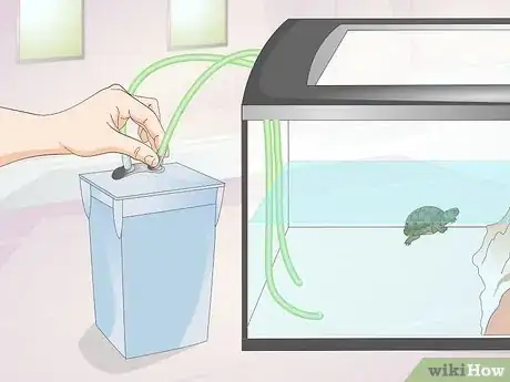 Imagen titulada Keep a Turtle Healthy Step 2