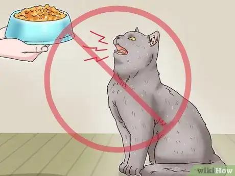Imagen titulada Identify a British Shorthair Cat Step 10