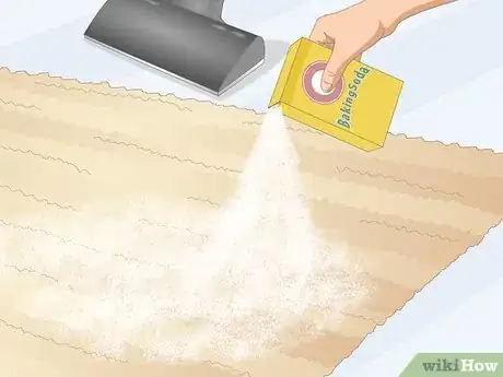 Imagen titulada Clean a Jute Rug Step 2