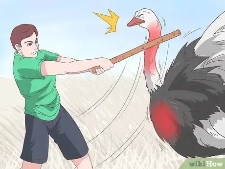 Imagen titulada Survive an Encounter with an Ostrich Step 8