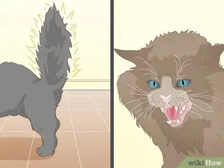 Imagen titulada Pet a Cat Step 11