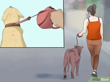 Imagen titulada Walk a Dog Step 4