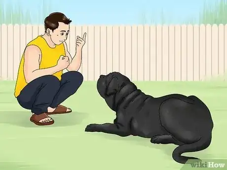 Imagen titulada Identify a Neapolitan Mastiff Step 17