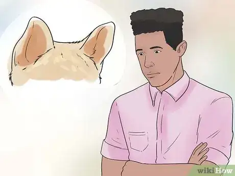 Imagen titulada Tape Up Stubborn German Shepherd Puppy Ears Step 2