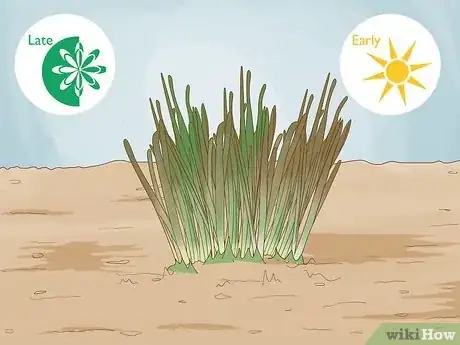 Imagen titulada Transplant Daffodils Step 1