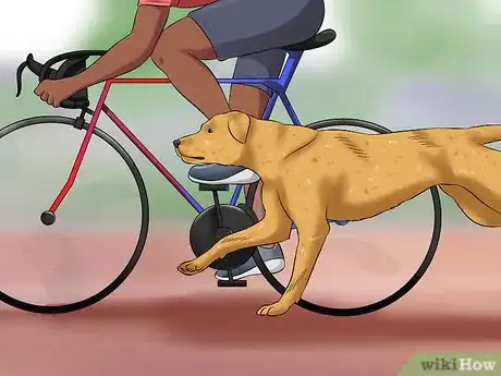 Imagen titulada Train Your Dog to Be Calm Step 11