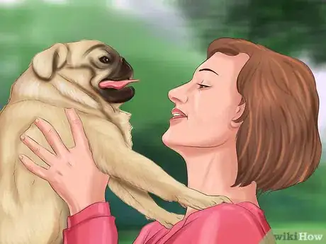 Imagen titulada Live with a Pug Dog Step 21