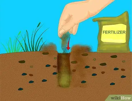 Imagen titulada Add Compost to Plants Step 8