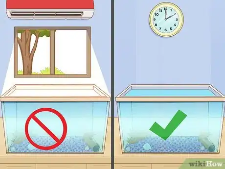 Imagen titulada Care for a Clown Fish Step 2