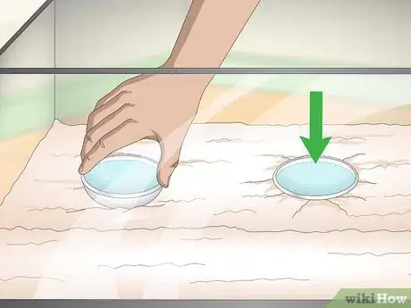 Imagen titulada Play With Your Hermit Crab Step 3
