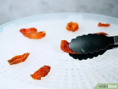 Imagen titulada Store Tomatoes (Long Term) Step 12