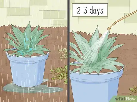 Imagen titulada Apply Diatomaceous Earth Step 10