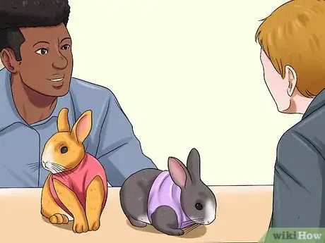Imagen titulada Walk a Rabbit Step 4
