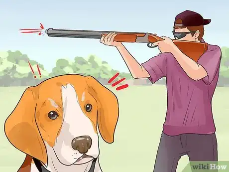 Imagen titulada Train a Dog for Rabbit Hunting Step 13
