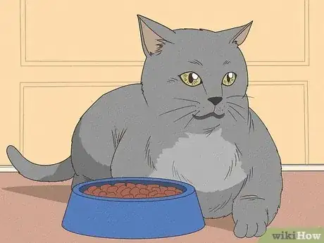 Imagen titulada Tell if a Cat Has a Sore Throat Step 2