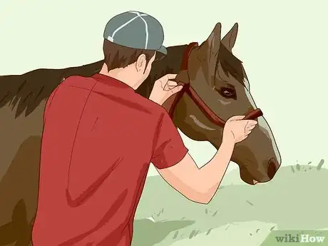 Imagen titulada Break a Horse Step 3