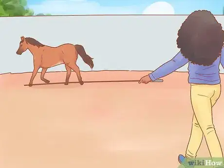 Imagen titulada Join Up With a Horse Step 12