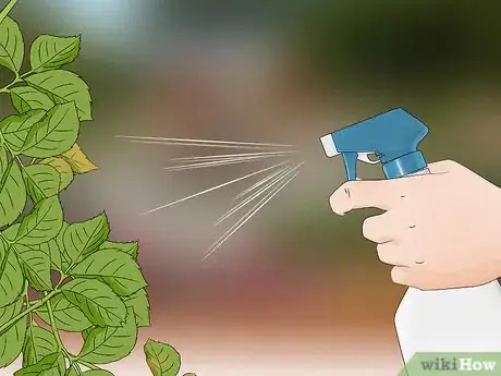Imagen titulada Control Aphids Step 13