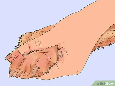 Imagen titulada File a Dog's Nails Step 2