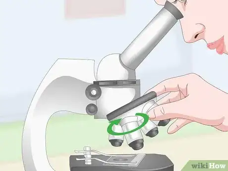 Imagen titulada Clean Microscope Lenses Step 13