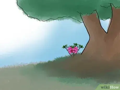 Imagen titulada Care for Azaleas Step 4