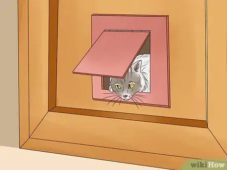 Imagen titulada Get a Cat to Stop Meowing Step 14