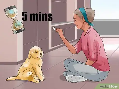Imagen titulada Train Goldendoodles Step 5