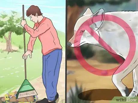 Imagen titulada Keep Coyotes Away from Campsites or Homesteads Step 6
