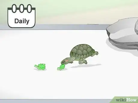 Imagen titulada Feed a Red‐Eared Slider Turtle Step 9