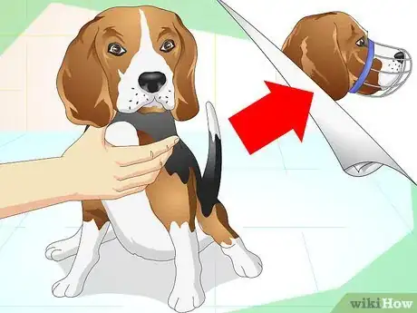 Imagen titulada Heal Ear Infections in Dogs Step 13